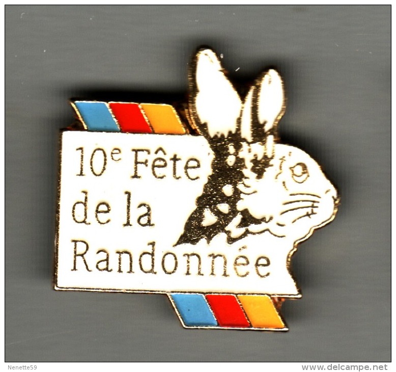 PIN´S  DESVRES - 10° Fête De La Randonnée + Lapin - Lièvre - Cities