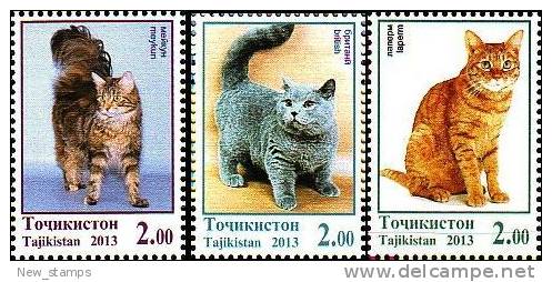 Tajikistan 2013 Domestic Cats 3 V MNH - Tajikistan