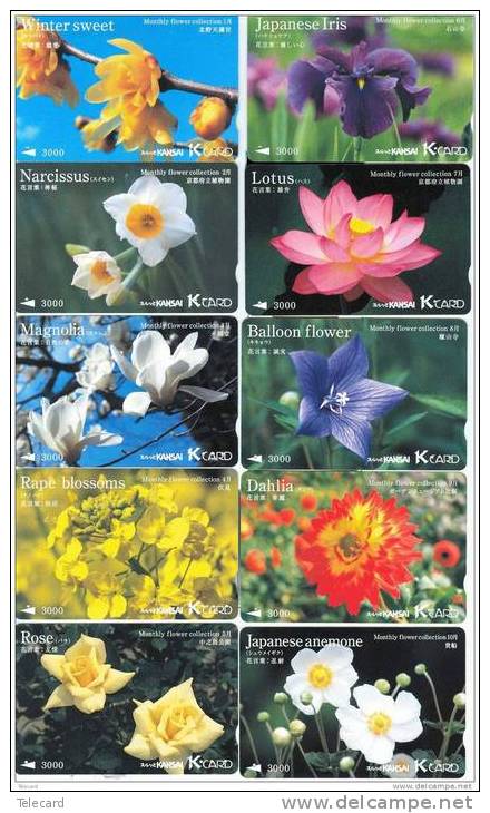 SERIE COMPLETE NUMEROTEES : LOT DE 12 CARTES JAPON * MONTHLY FLOWER COLLECTION FROM NUMBER 1 - 12 ( SERIE JAPAN COMPLETE - Verzamelingen