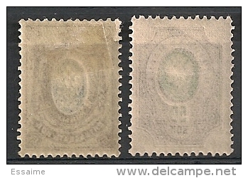 Russie Russia. 1889. N° 46,50. Neuf * MH - Unused Stamps