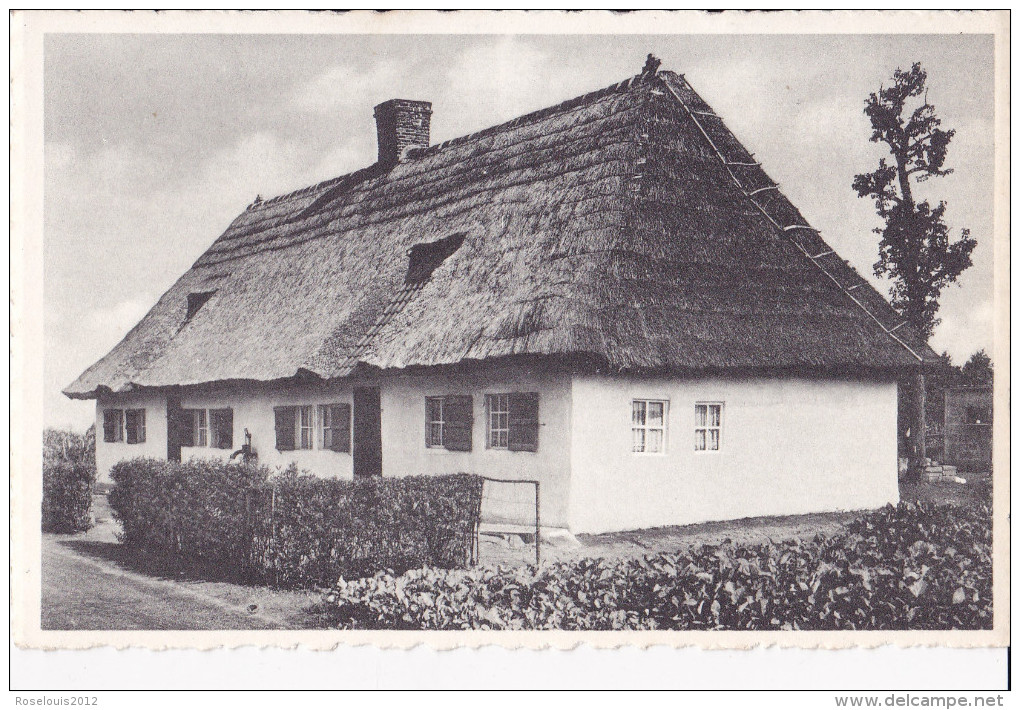 DEERLIJK : Oude Hoeve - Deerlijk