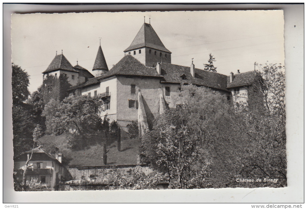 CH 1807 BLONAY VD, Chateau Blonay - Blonay - Saint-Légier