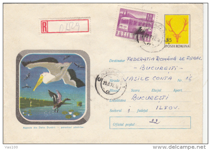 PELICANS, BUSS STAMP, REGISTERED COVER STATIONERY, ENTIER POSTAL, 1972, ROMANIA - Pelikanen