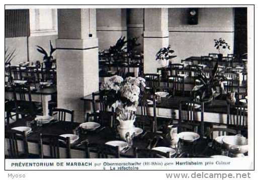 68 Preventorium De MARBACH Par Obermorschwihr Gare Herrlisheim Pres Colmar Le Refectoire - Murbach