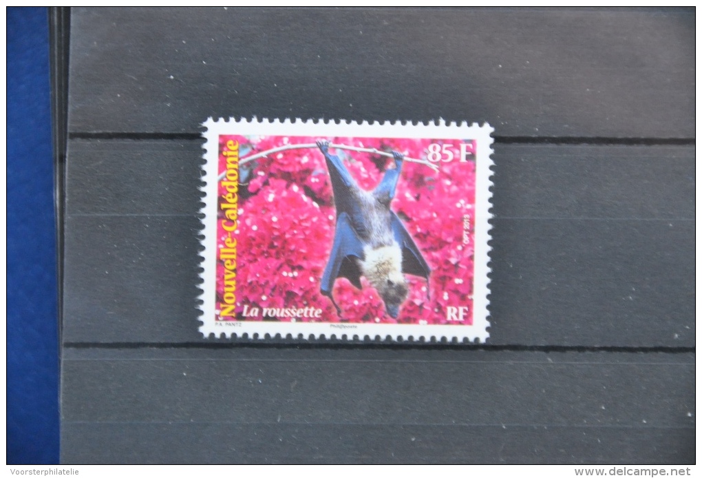 N 057 ++ NOUVELLE CALEDONIE 2013 ++ BAT VLEERMUIS FLEDERMAUS ++ MNH NEUF ** - Unused Stamps