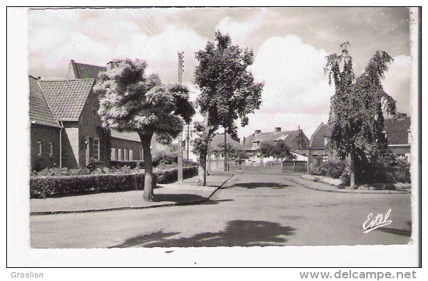 FLERS (NORD) 19376 SQUARE LIEUTENANT HARALD STAMMBACH - Sonstige & Ohne Zuordnung