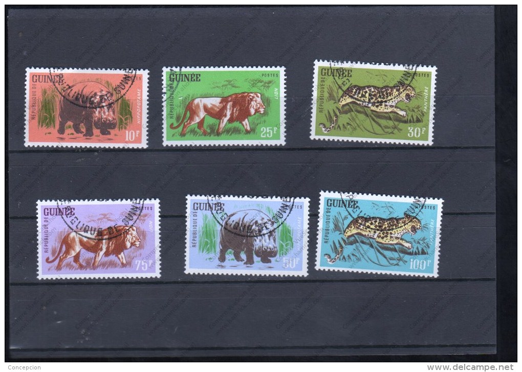 R.  GUINEA 105 AL 110 - Big Cats (cats Of Prey)