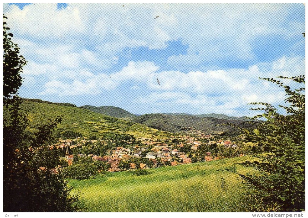 530  - Rothau (Bas-Rhin)  - Vue Générale - Rothau