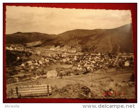 AK Birresborn Eifel 1956 Ortsansicht - Gerolstein