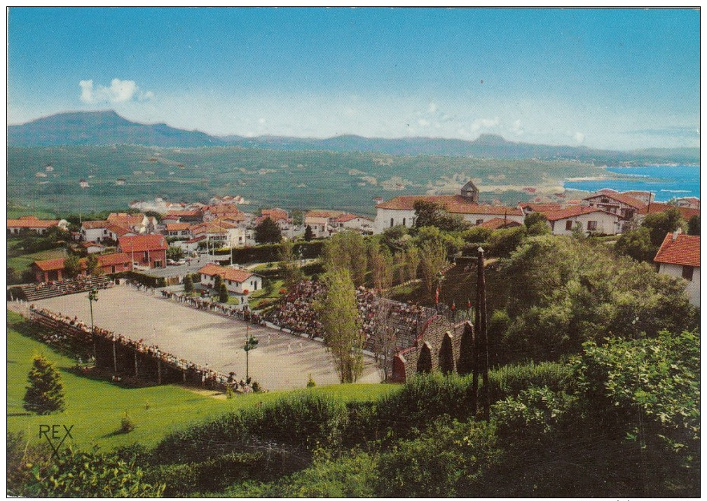 64 - BIDART  Partie De Chistera, Au Fond Les Montagnes D Espagne.. Non écrite, Rex, - Bidart