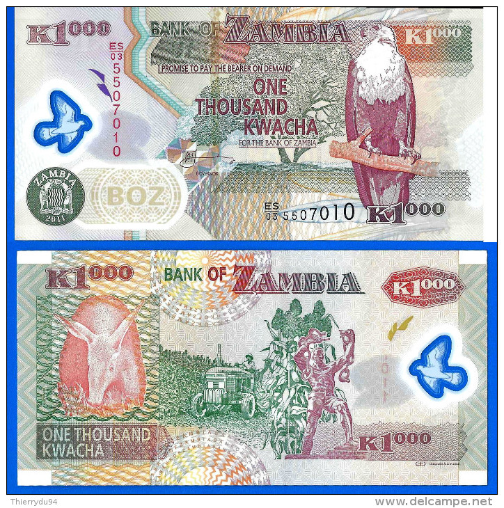 Zambie 1000 Kwacha 2011 UNC Neuf Polymere Polymere Afrique Africa Paypal Skrill OK! - Zambia