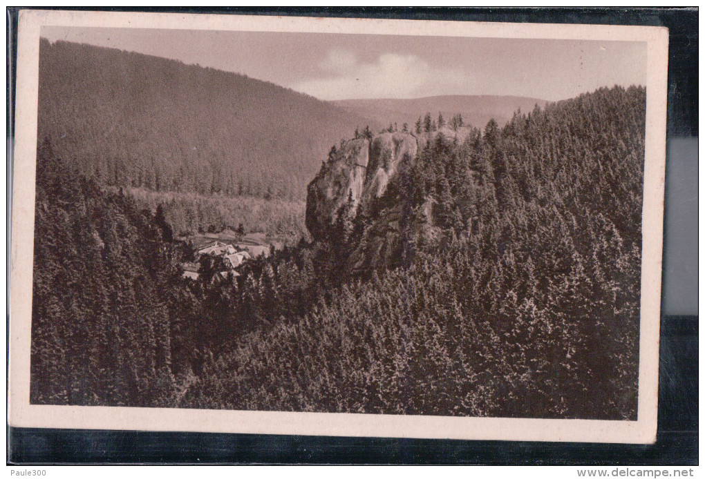 Tambach-Dietharz - Dietharzer Grund - Blick In Den Badegraben Mit Falkenstein - Tambach-Dietharz