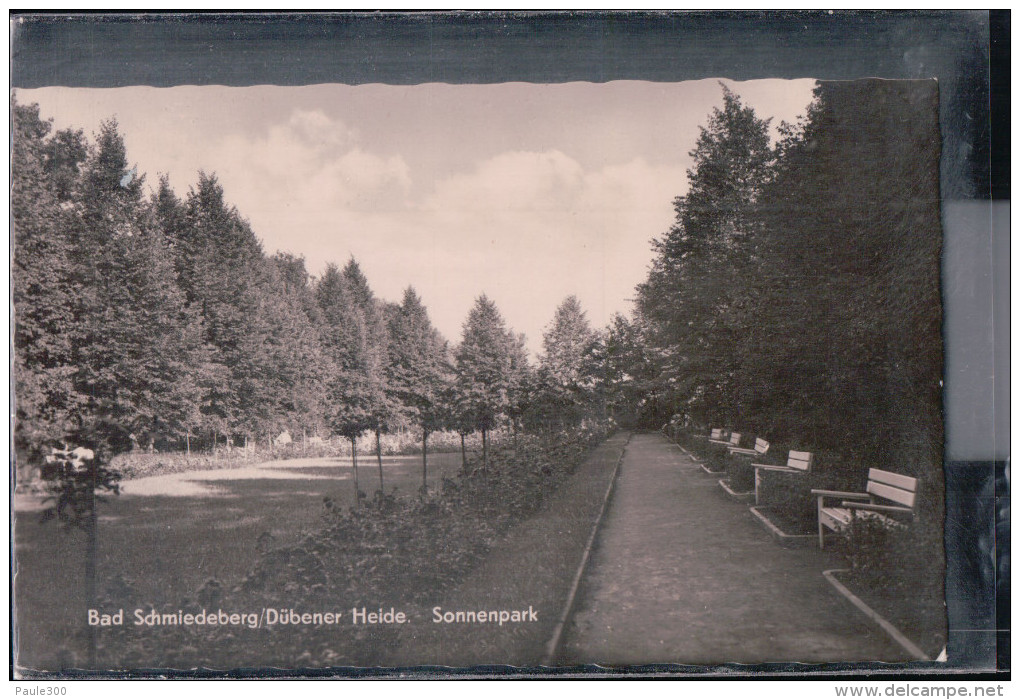 Bad Schmiedeberg - Sonnenpark - Dübener Heide - Bad Schmiedeberg