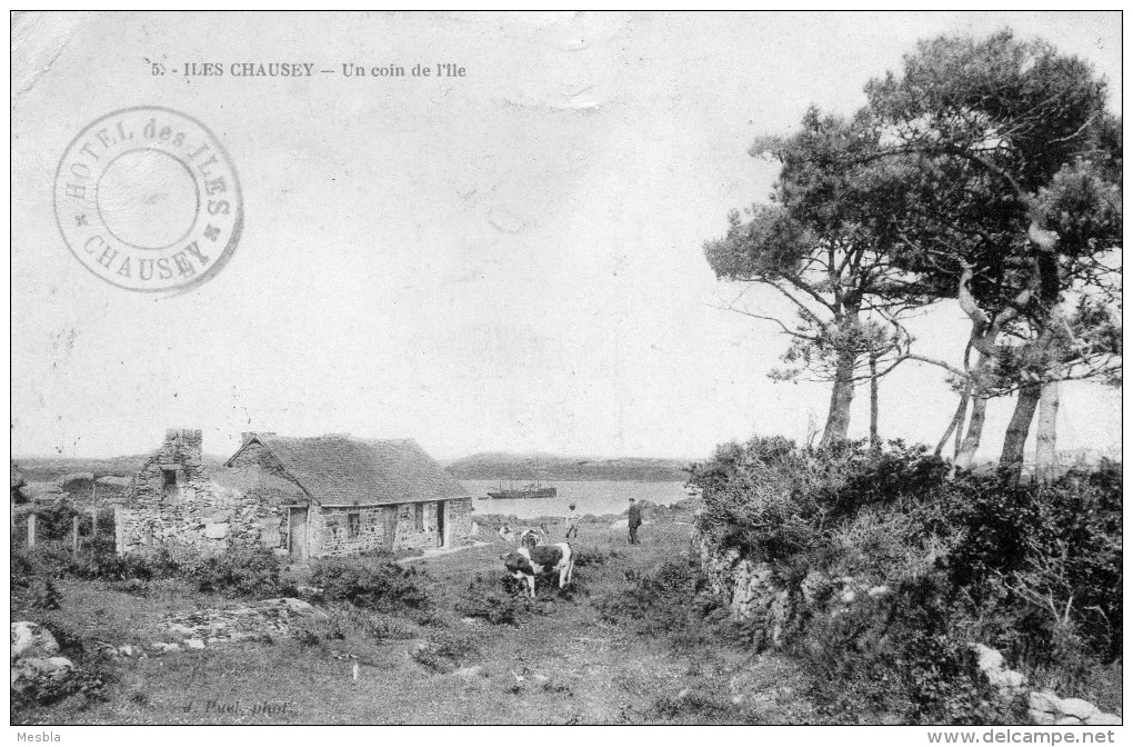 CPA  -   GRANVILLE -  ILES  CHAUSEY  (50)   Un Coin De L' Ile   -  Cachet De L' Hotel Des Iles - Granville