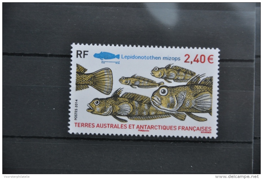 N 069 ++ TAAF ANTARCTICA  2014 VISSEN FISHES POISSON POSTFRIS MNH NEUF ** - Andere & Zonder Classificatie