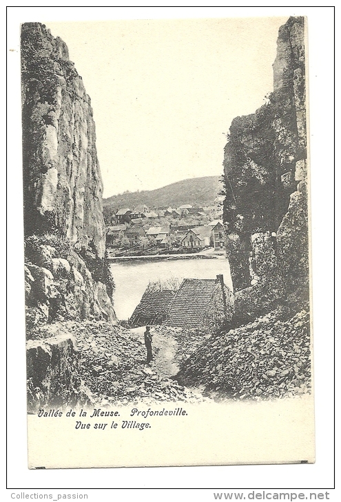 Cp, Belgique, Profondeville, (Vallée De La Meuse), Vue Sur Le Village - Profondeville