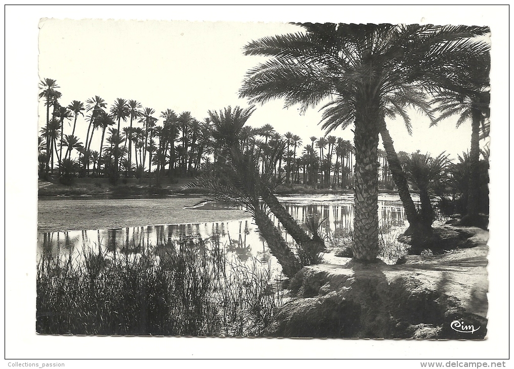 Cp, Afrique, Collection Artistique, La Rivière - Ohne Zuordnung