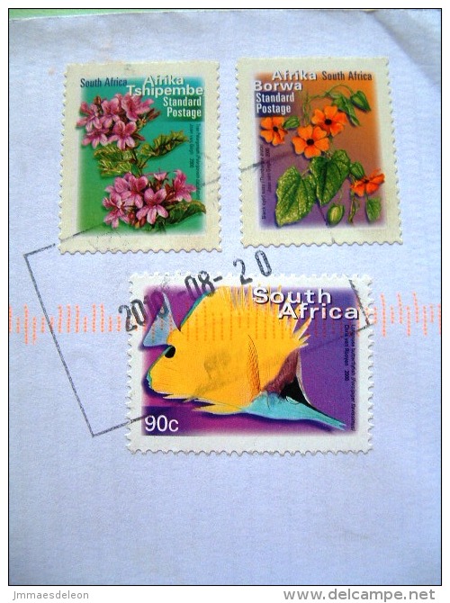 South Africa 2010 Cover To Nicaragua - Flowers Butterfly Fish - Lettres & Documents