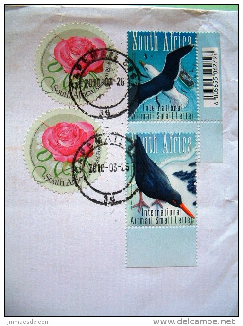 South Africa 2010 Cover To Nicaragua - Round Stamp - Flowers - Birds - Cartas & Documentos