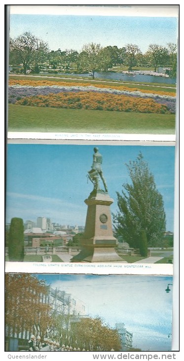 Colour Views Of Adelaide A Pitt Card  Lettercard  12 Views A Pitt Card  Front & Back Shown - Adelaide