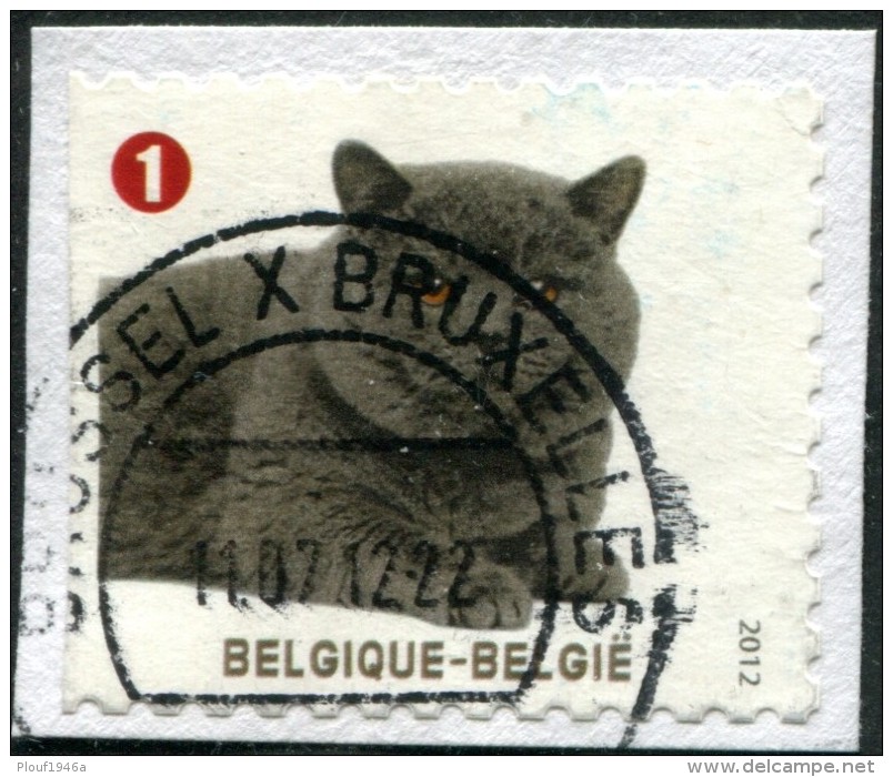 COB 4232 (o) / Yvert Et Tellier N° 4211 (o)  [CHAT] - Used Stamps