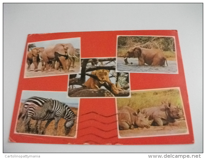 Storia Postale Francobollo Commemorativo Fiori Kenya Elefanti Rinoceronti Zebre Leonessa - Kenya