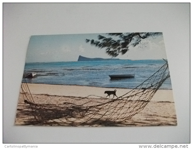 STORIA POSTALE Francobollo Commemorativo Mauritius  L' Ile Maurice Le Coin De Mire Cane Dog Spiaggia - Maurice