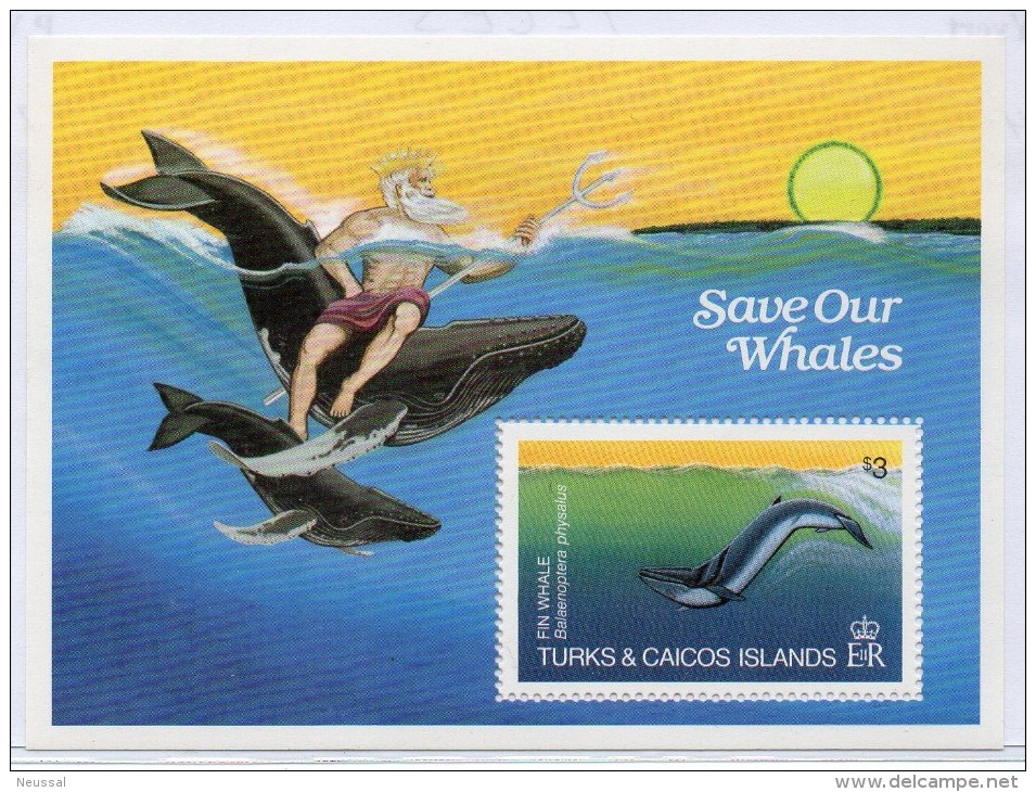 Hb-45   Turks & Caicos - Whales