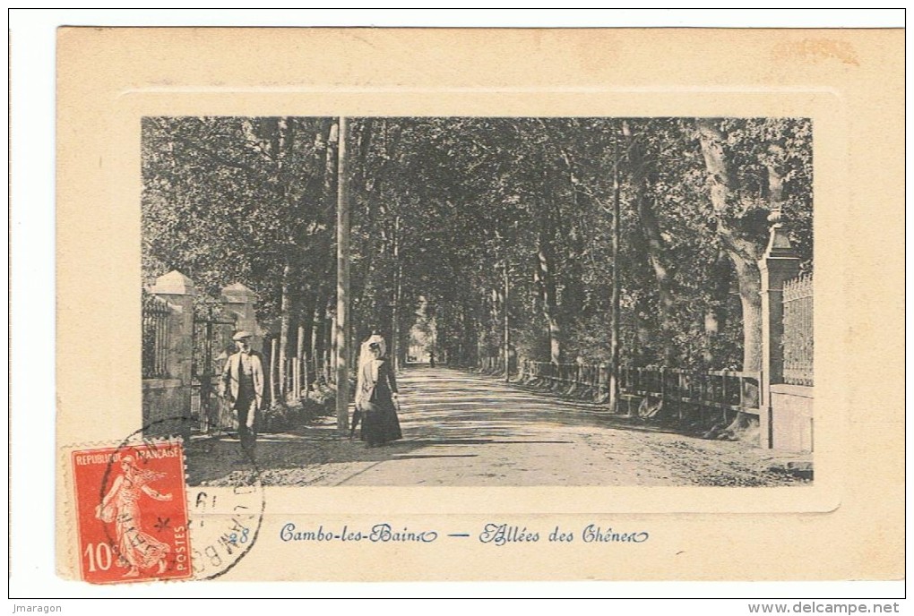 CAMBO Les BAINS - Allées Des Chênes -  1911 - Cambo-les-Bains