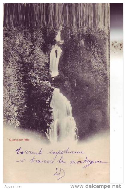 SUISSE - (1900) GIESSBACHFALLE - Torrent Impétueux à Travers La Montagne - Nr 289 Photoglob Co à Zurich  - D1 898 - Avers