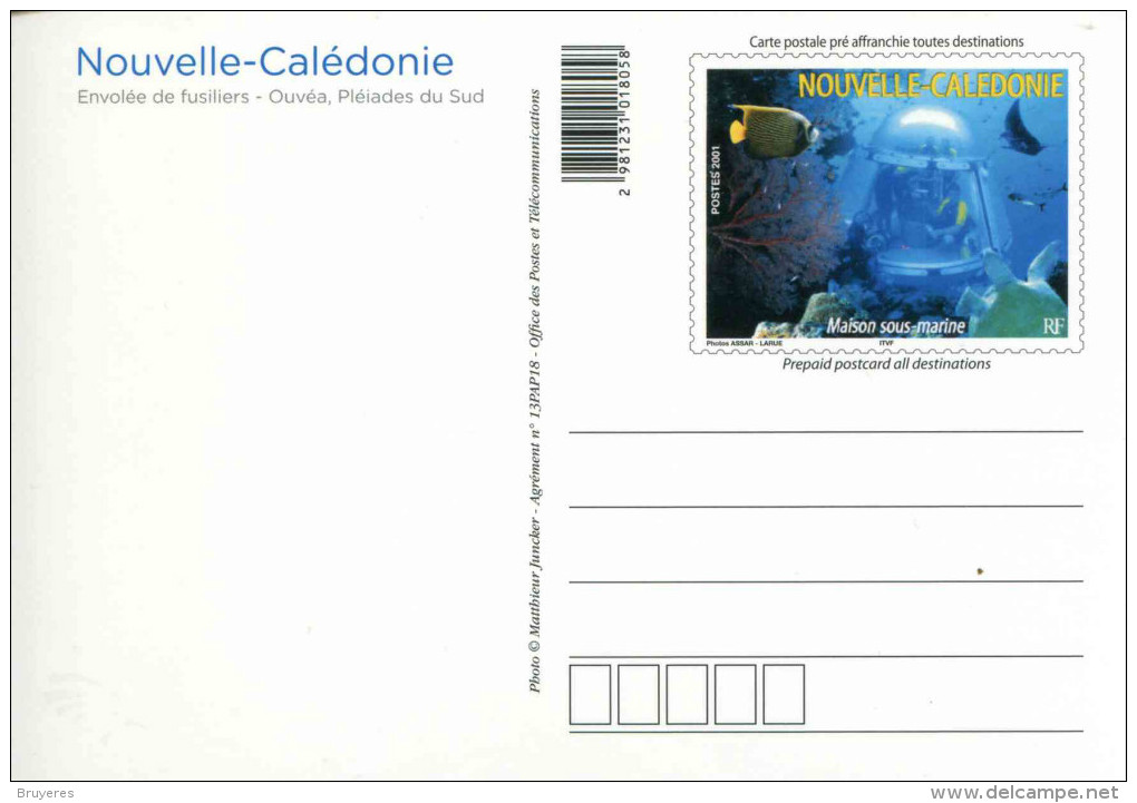 Entier Postal De 2013 Sur CP "Envolée De Fusillers - Ouvéa, Pléiades Du Sud" - Postal Stationery