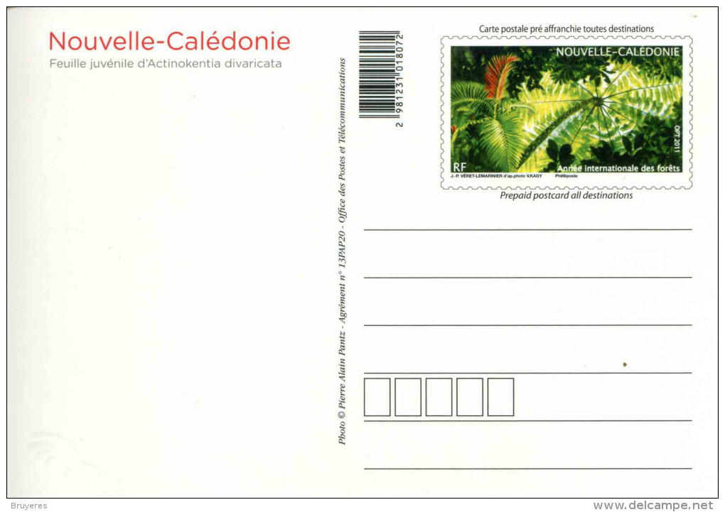 Entier Postal De 2013 Sur CP Avec Timbre Et Illust.  "Feuille Juvénile D'Actinokentia Divaricata" - Entiers Postaux