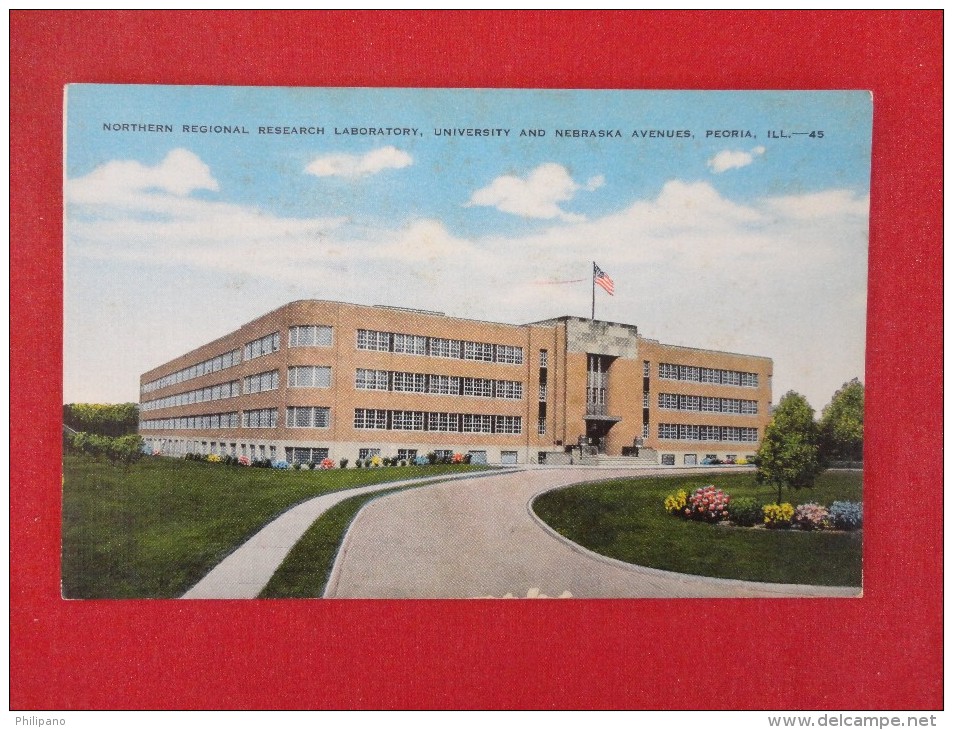 - Illinois > Peoria  Northern Regional Research Laboratory   Not Mailed  Ref 1199 - Peoria