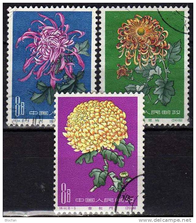 Chrysantheme 1961 VR China Aus 577-79 O 12€ Aus Blumen Satz II Chrysanthemen Verschiedene Züchtungen Flower Set Of Chine - Oblitérés