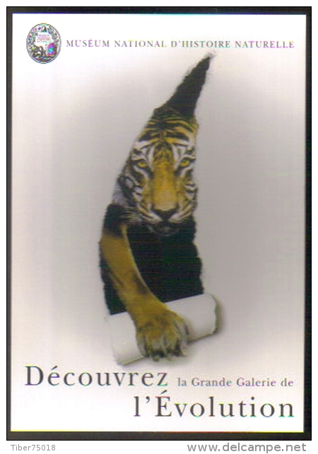 Carte Postale édition "Carte à Pub" - Muséum Nat. D'histoire Naturelle - Grande Galerie De L'évolution (tigre) - Tigers