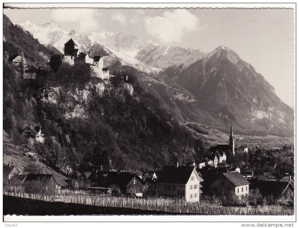 VADUZ (Liechtenstein) Schloss-Fürstentum Liechtenstein- VOIR 2 SCANS - - Liechtenstein