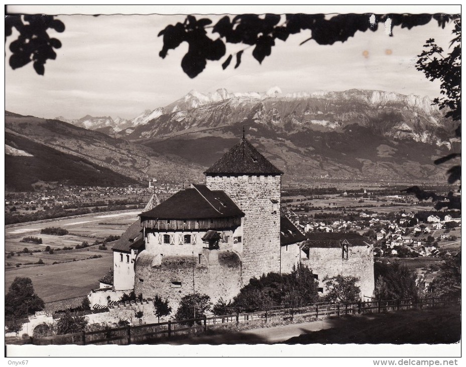VADUZ (Liechtenstein) Schloss-Fürstentum Liechtenstein- VOIR 2 SCANS - - Liechtenstein