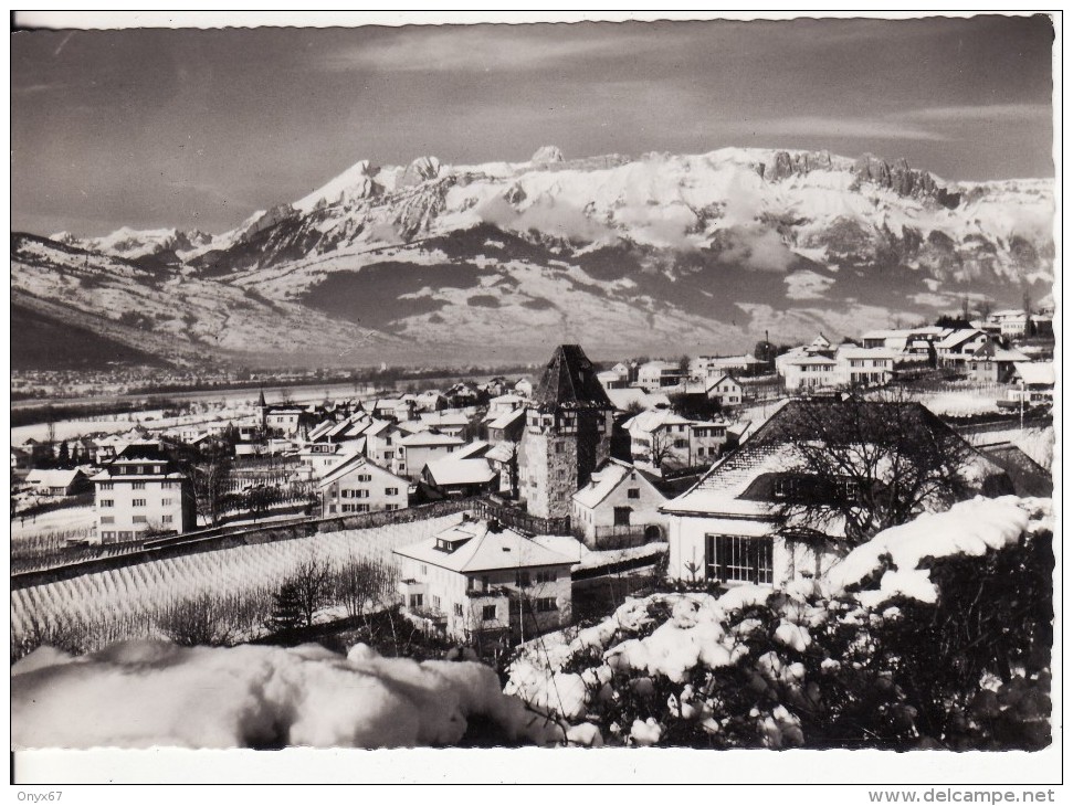 VADUZ (Liechtenstein)  Fürstentum Liechtenstein Rotes Haus U. Schweizer Kreuzberge-VOIR 2 SCANS - - Liechtenstein