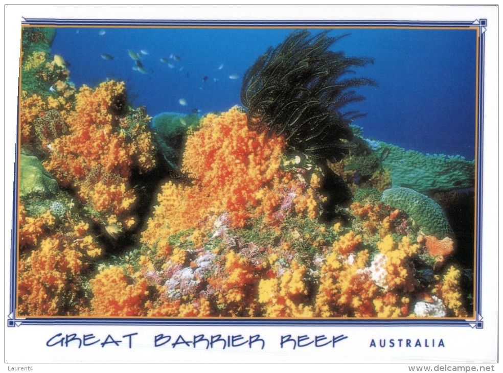 (669) Australia - QLD - Great Barrier Reef - Great Barrier Reef