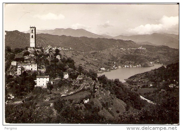 5727/A/FG/14 - GORFIGLIANO E GRAMOLAZZO (LUCCA) - Panorama - Lucca