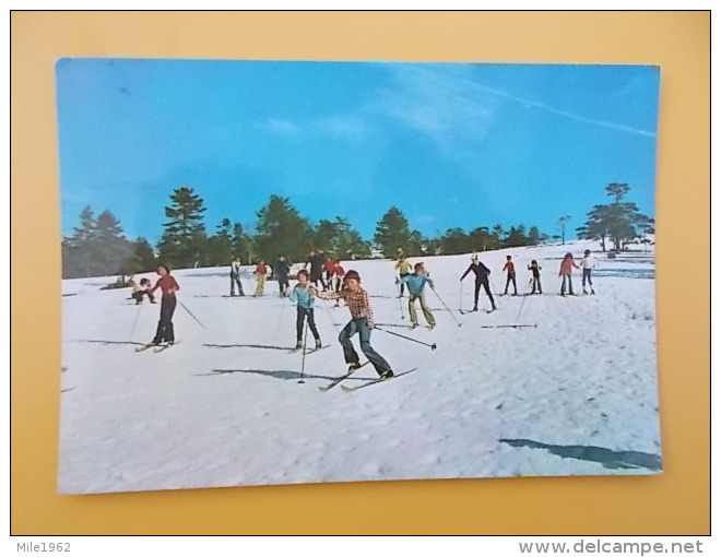 DIVCIBARE-SKI CENTAR-SKI CENTER-Children´s Resort Stevan Filipovic, Child, Kinder, Ski Sport - Serbia