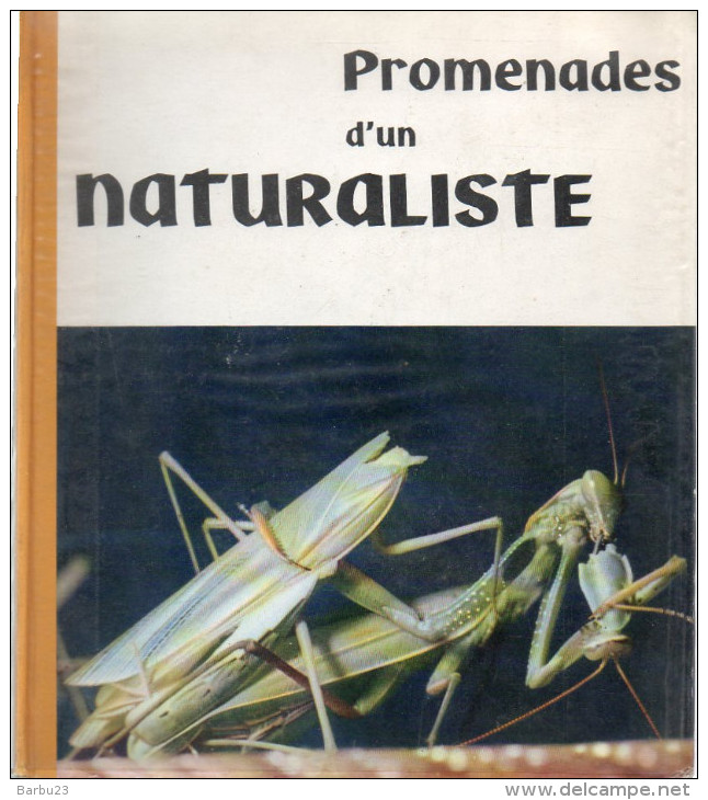 Promenades D'un Naturaliste - Jean-Claude Roché - Editions IMA - Complet Avec Toutes Ses Images. - Natura