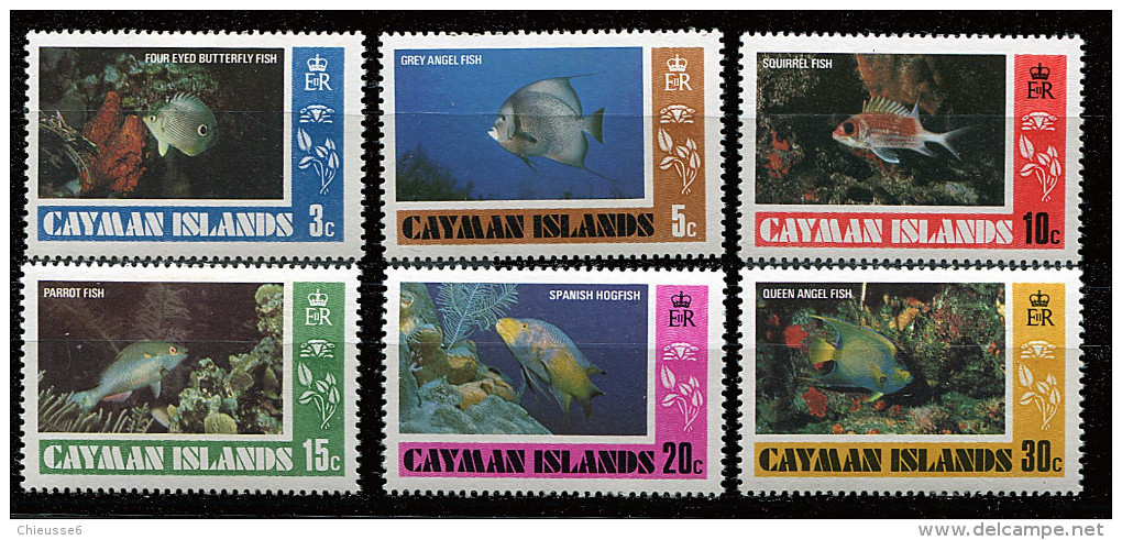 Iles Caïmanes ** N° 415 à 420 - Poissons Des Caïmanes - Caimán (Islas)