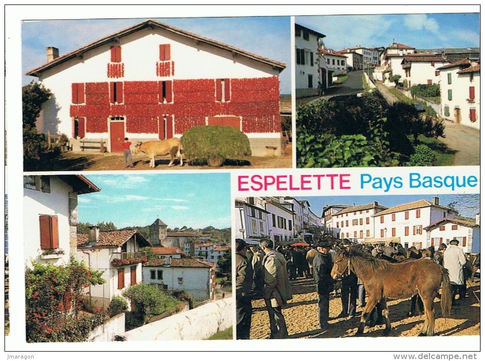 ESPELETTE - Pays Basque - Vues Générales Séchage Des Piments - Foire Aux Pottoks - Espelette
