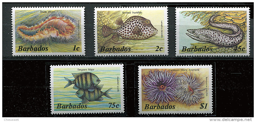 Barbade ** N° 628 à 632 - Série Courante. Faune Marine (III) - Barbados (1966-...)
