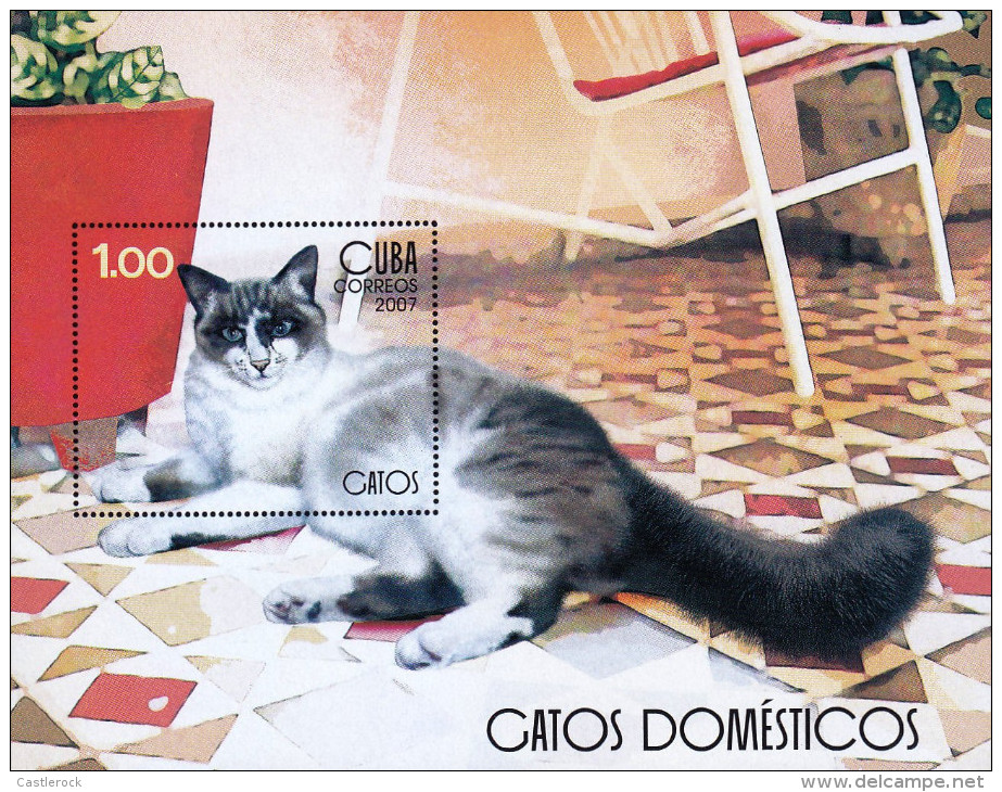 G)2007CUBA, DOMESTIC CATS, S/S, MNH - Unused Stamps