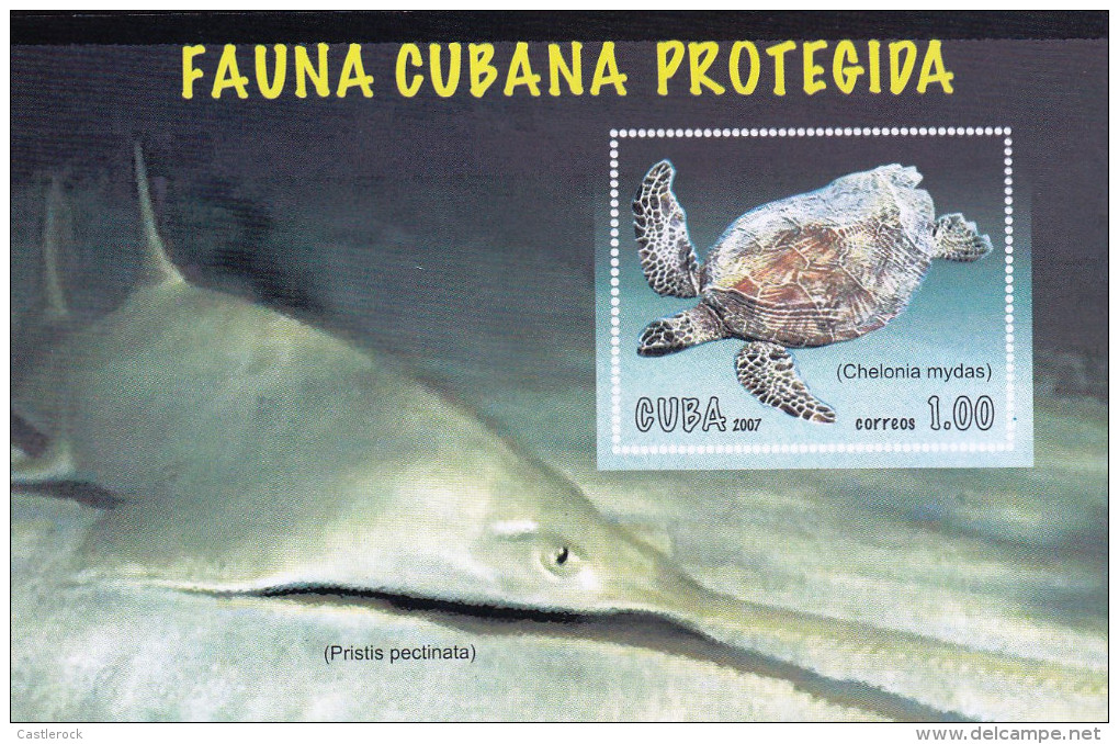 G)2007CUBA, SAWFISH (PRISTIS PECTINATA)-TURTLE(CHELONIA MYDAS)CUBANPROTECTED FAUNA, S/S, MNH - Neufs