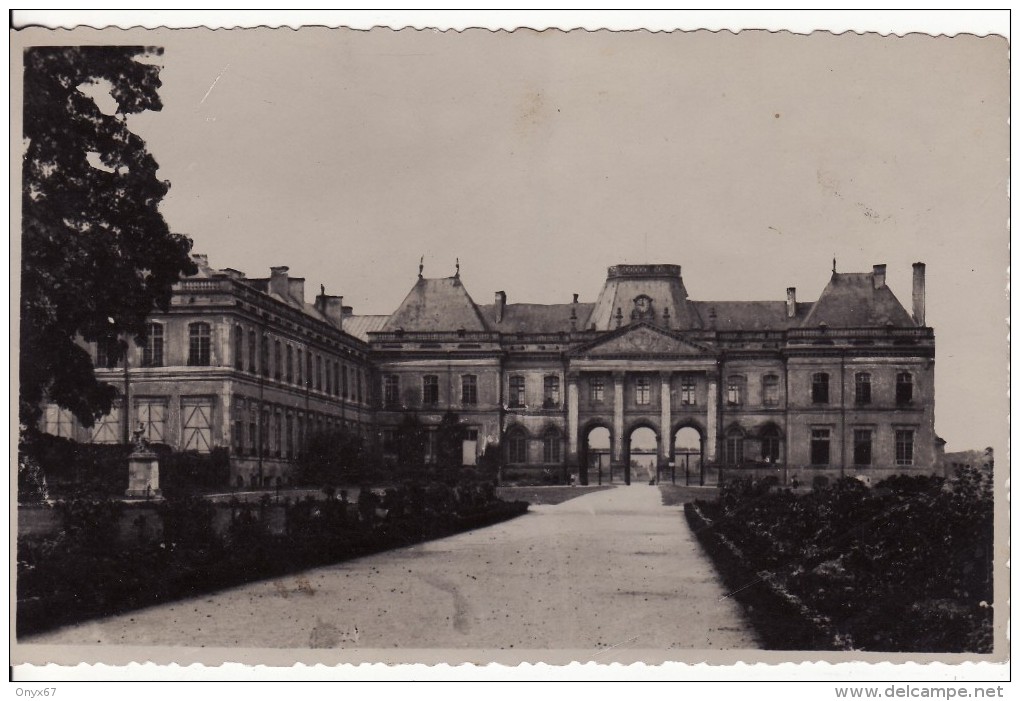 Carte Postale Photo LUNEVILLE (Meurthe Et Moselle)  Allée Du Château - VOIR 2 SCANS - - Luneville