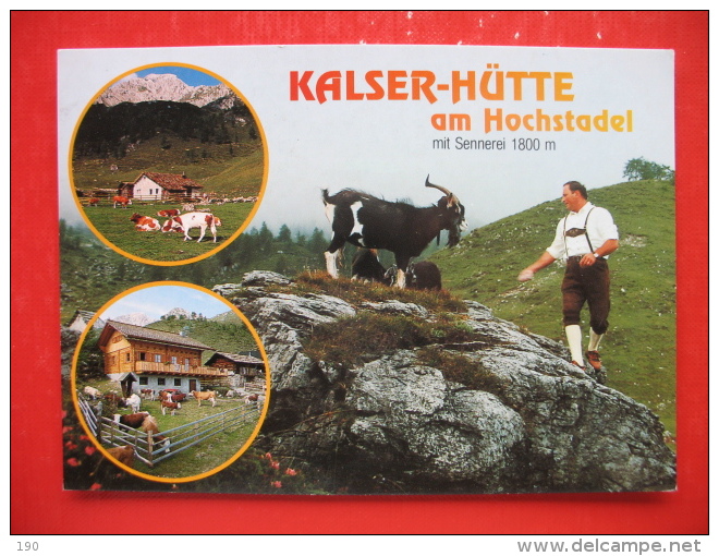 KALSER-HUTTE AM HOCHSTADEL MIT SENNEREI 1800 M - Oberdrauburg