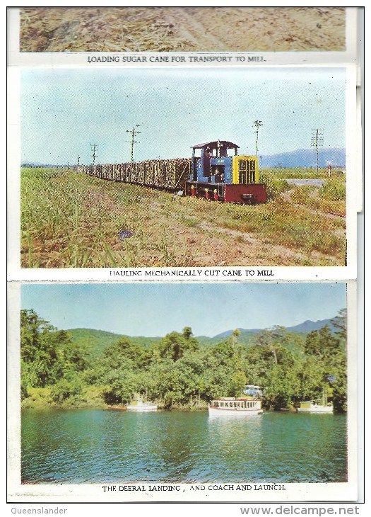 Greetings From Launch Valeta Mulgrave & Russell Rivers NQ Lettercard 16 Views Bolton Cairns Front & Back Shown - Far North Queensland